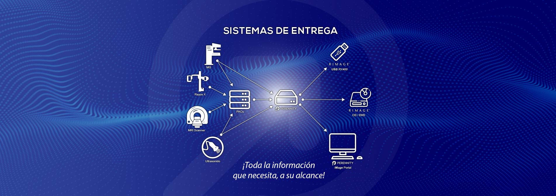 siiecomp-banner-inicio2